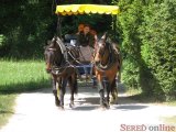  Niektorí turisti využili možnosť okružnej jazdy po zámockom parku v Ledniciach v koči