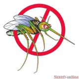 SeredOnLine party bude bez komarov