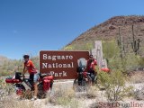  narodni park Saguaro
