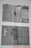  Fotografie dvoch prípadov z minulosti. Dokedy ešte budú musieť hynúť nevinné zvieratá?
