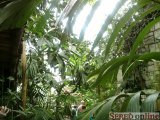  tropická hala Yucatan