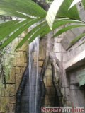  tropická hala Yucatan