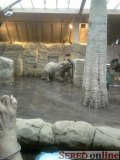 ZOO Zlín- ZOO kontinentov